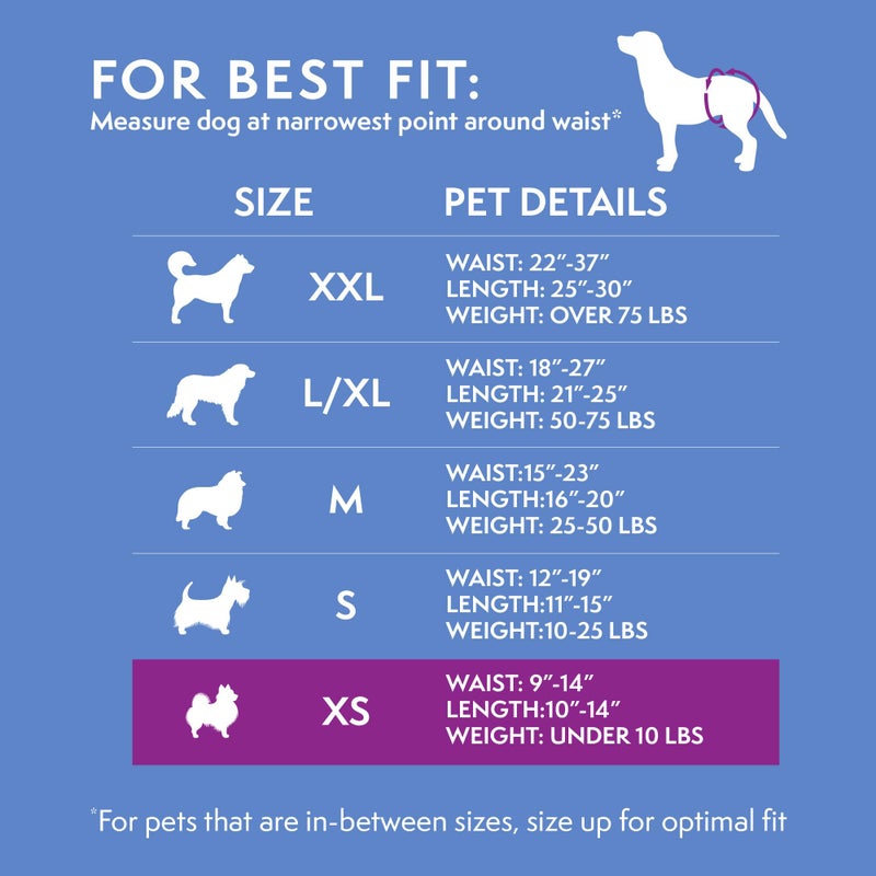 Simple Solution Disposable Dog Diapers for Female Dogs, Leak Proof Diaper for Dogs, Potty Training, XS Puppy Training, Incontinence, Diaper for Peeing, For Small Pets, 9-14 Inch Waist, 12 Count - Image 4